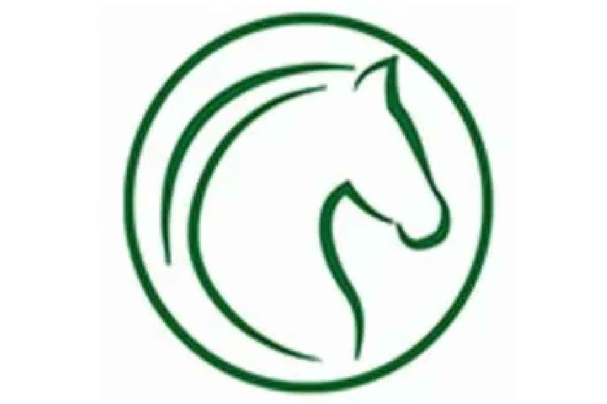 DEMENTI AVIS RECRUTEMENT